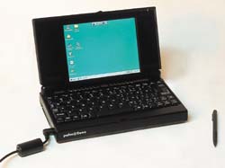 Palm 2000